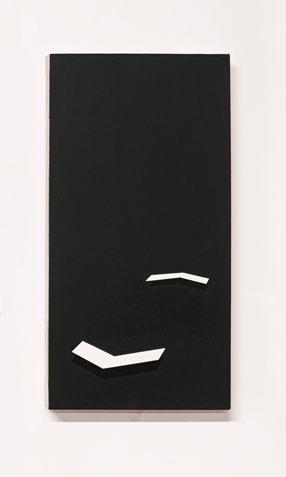 Larry Page's Legs, 2024, oil on canvas by Bryony Hillman